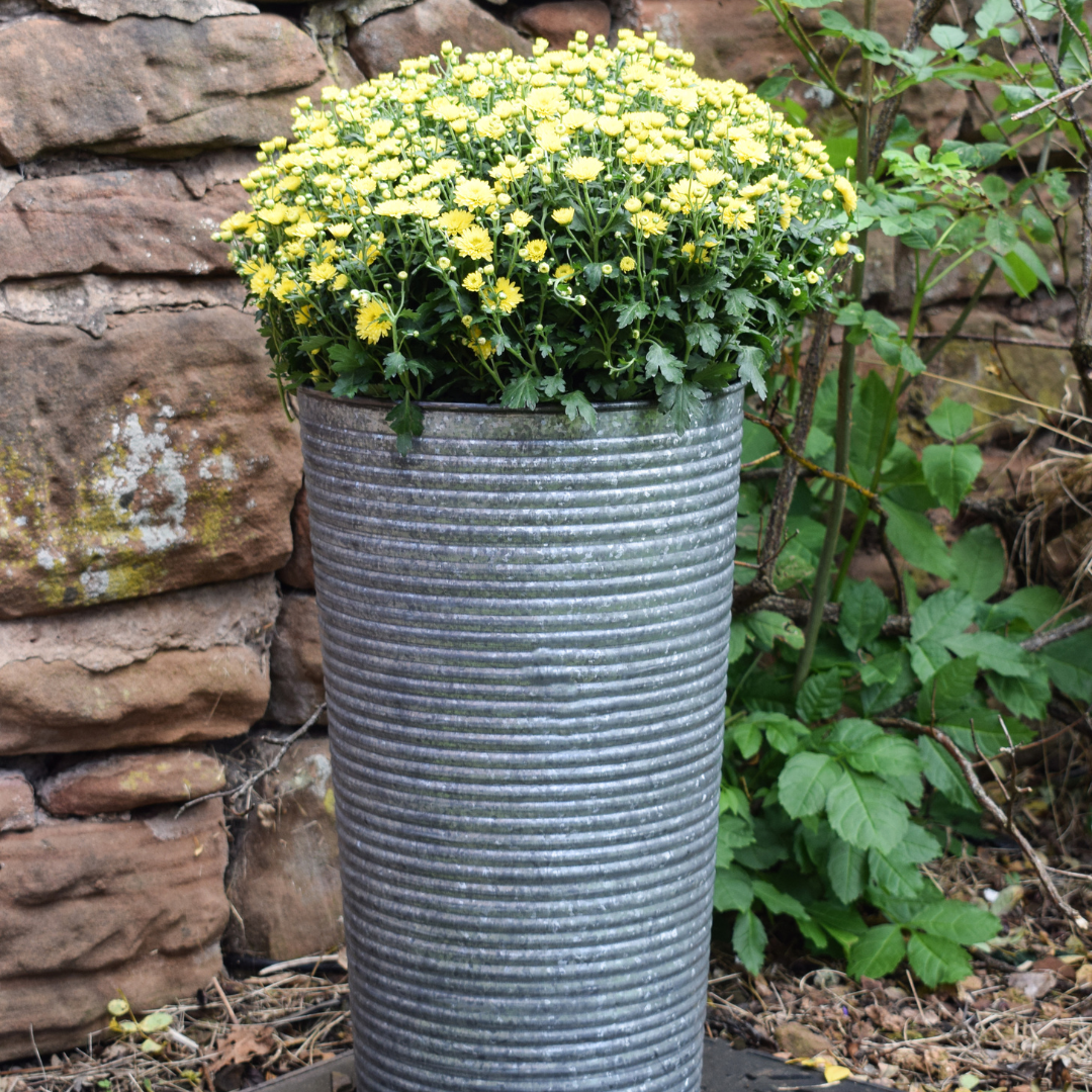 Ribbed Galvanised Vase