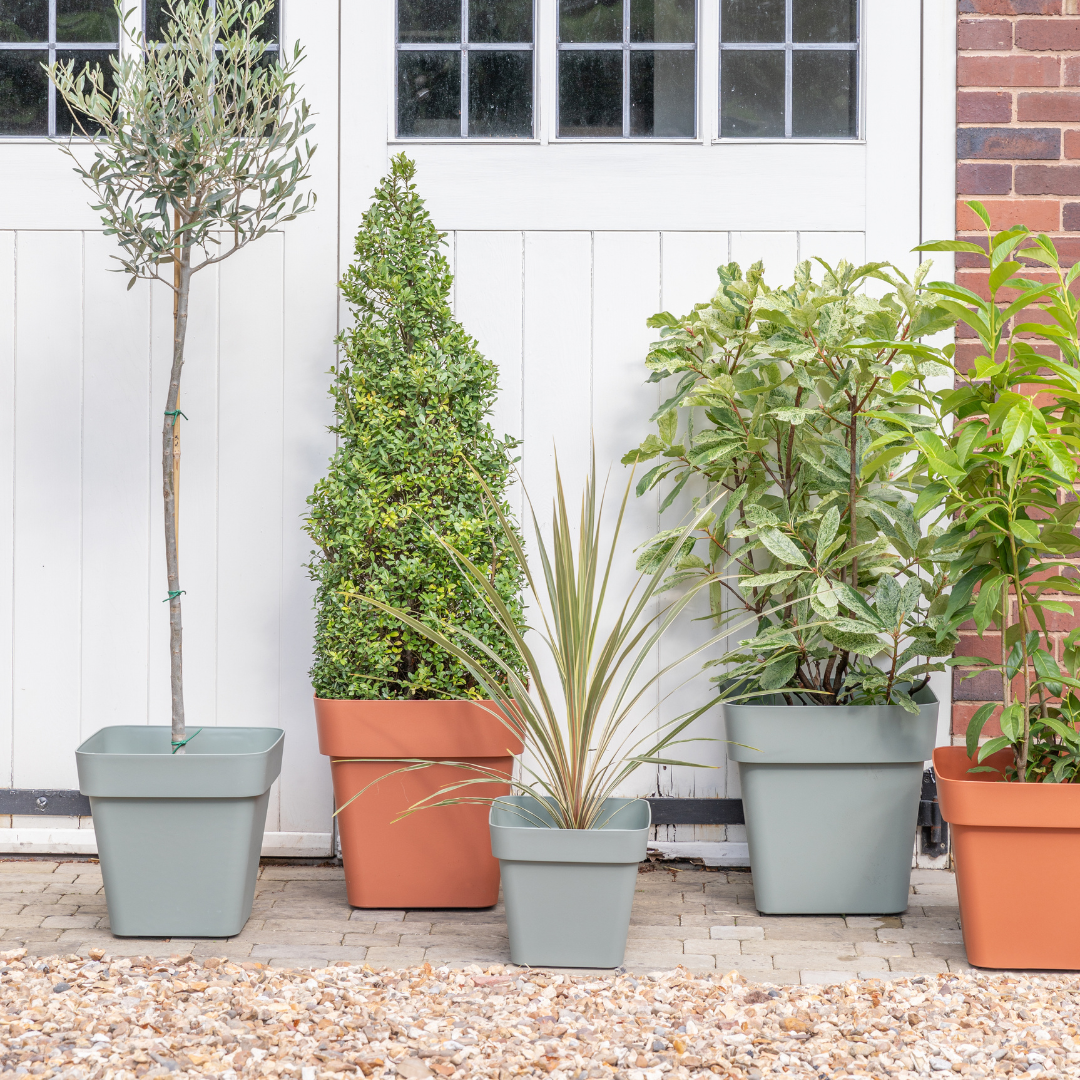 Cleo Square Planter With Wheels D40cm, Sage