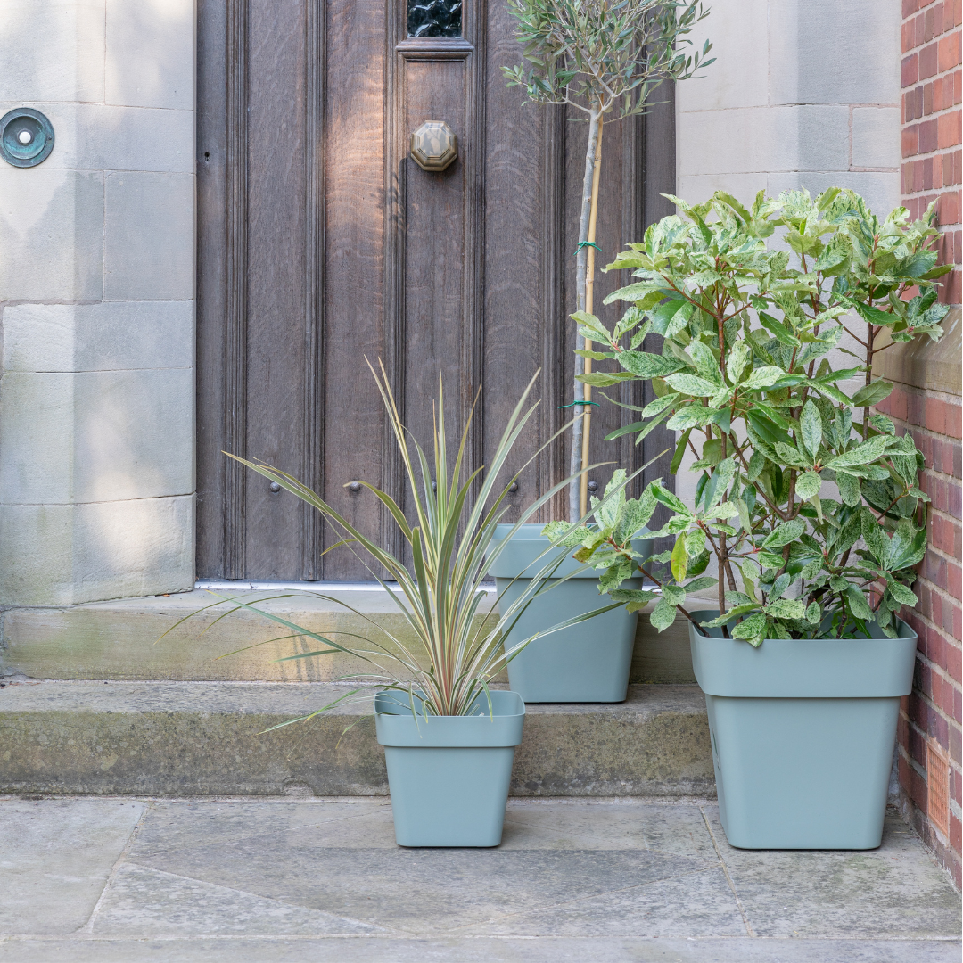 Cleo Square Planter With Wheels D40cm, Sage