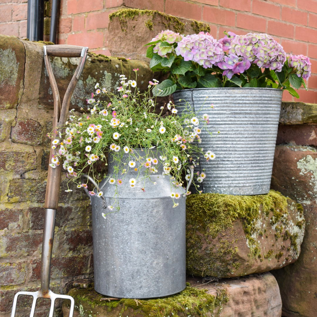 Galvanised Milk Churn