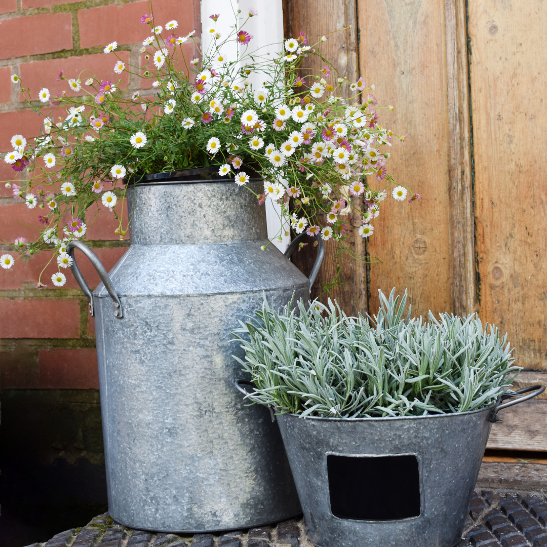 Galvanised Milk Churn