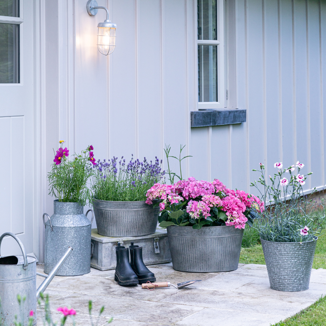 Galvanised Milk Churn