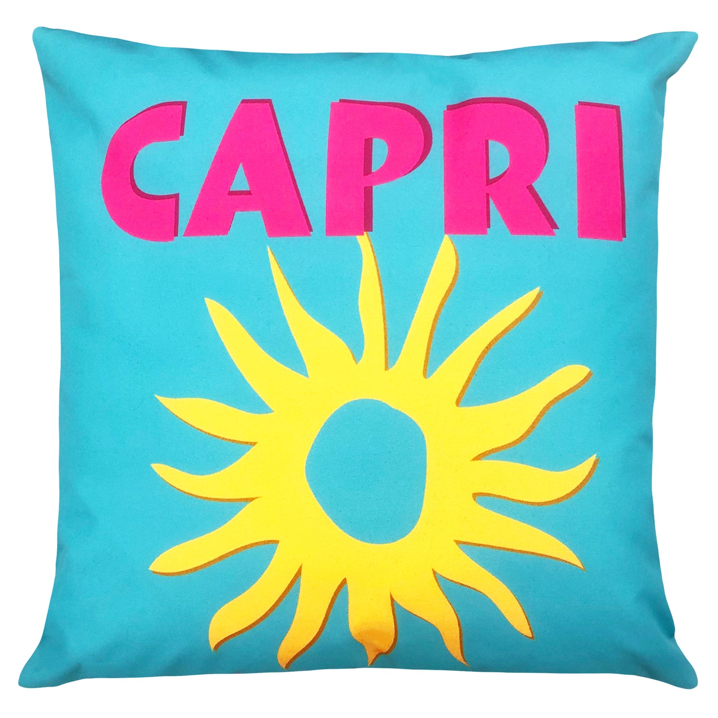 Capri Outdoor Cushion & Cover