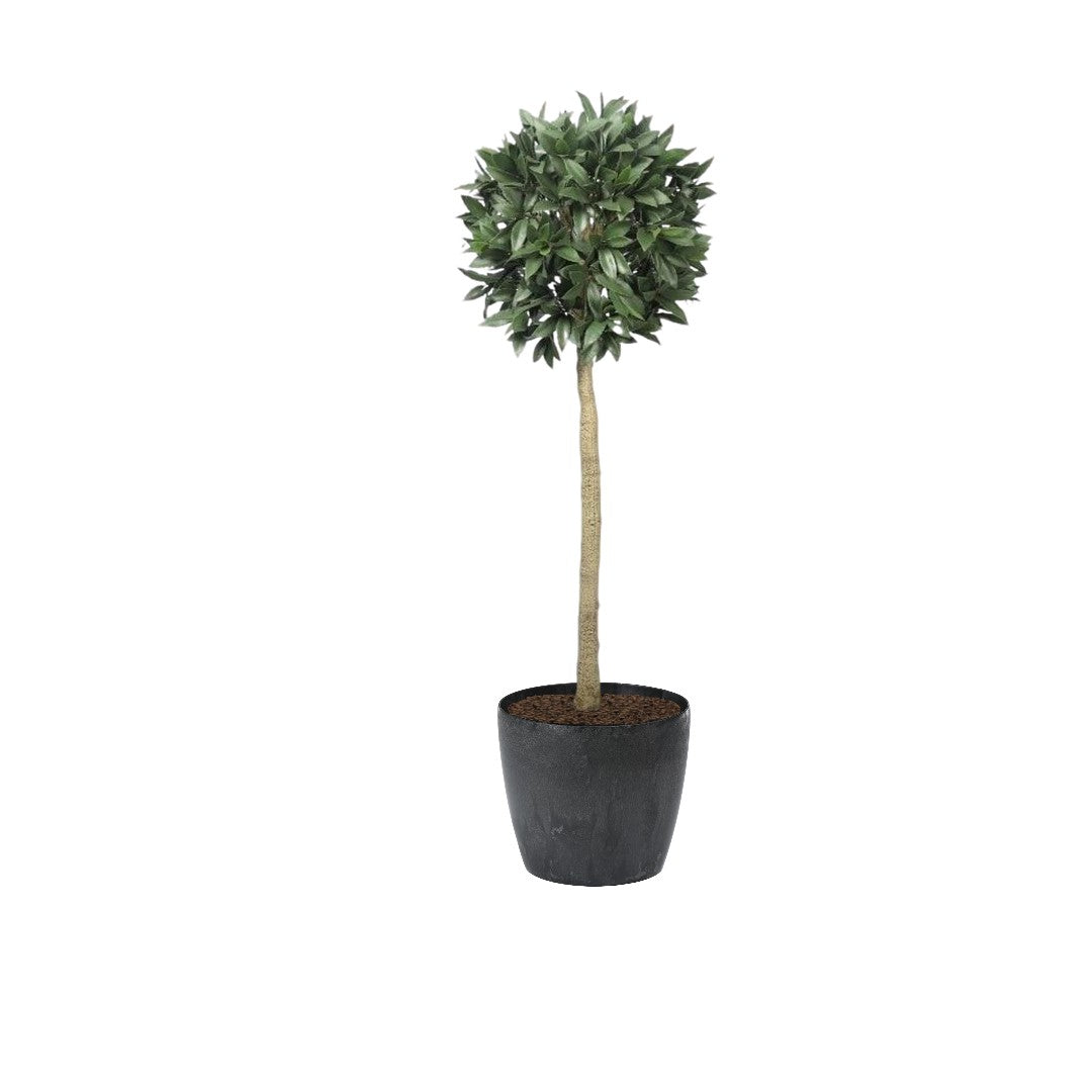 Artificial Bay Laurel Tree, 150cm