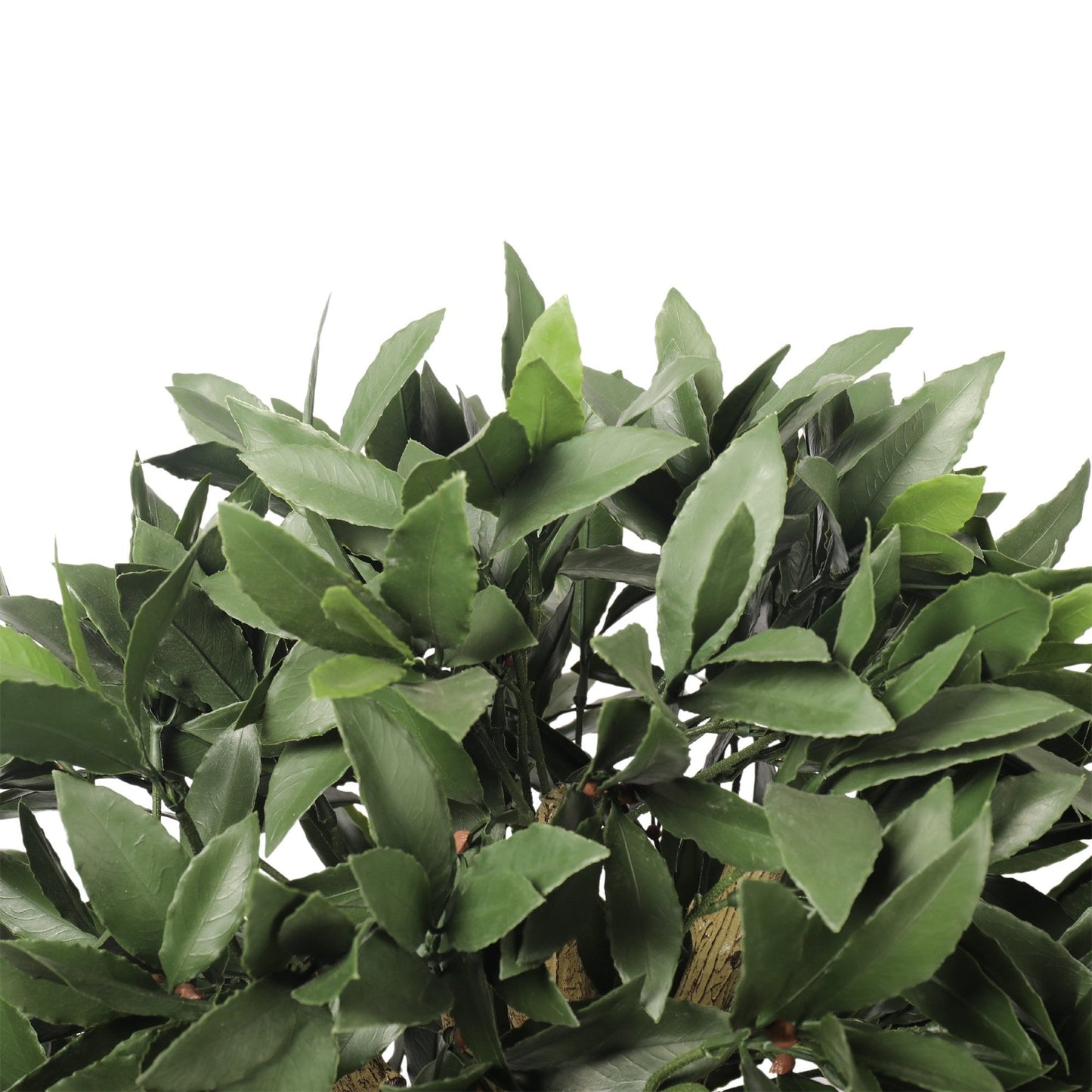 Artificial Bay Laurel Tree, 150cm