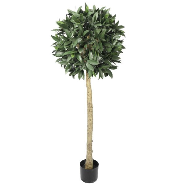 Artificial Bay Laurel Tree, 150cm