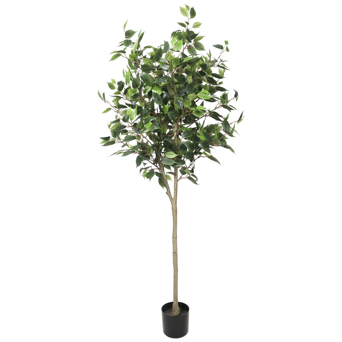 Artificial UV Premium Ficus Tree, 160cm