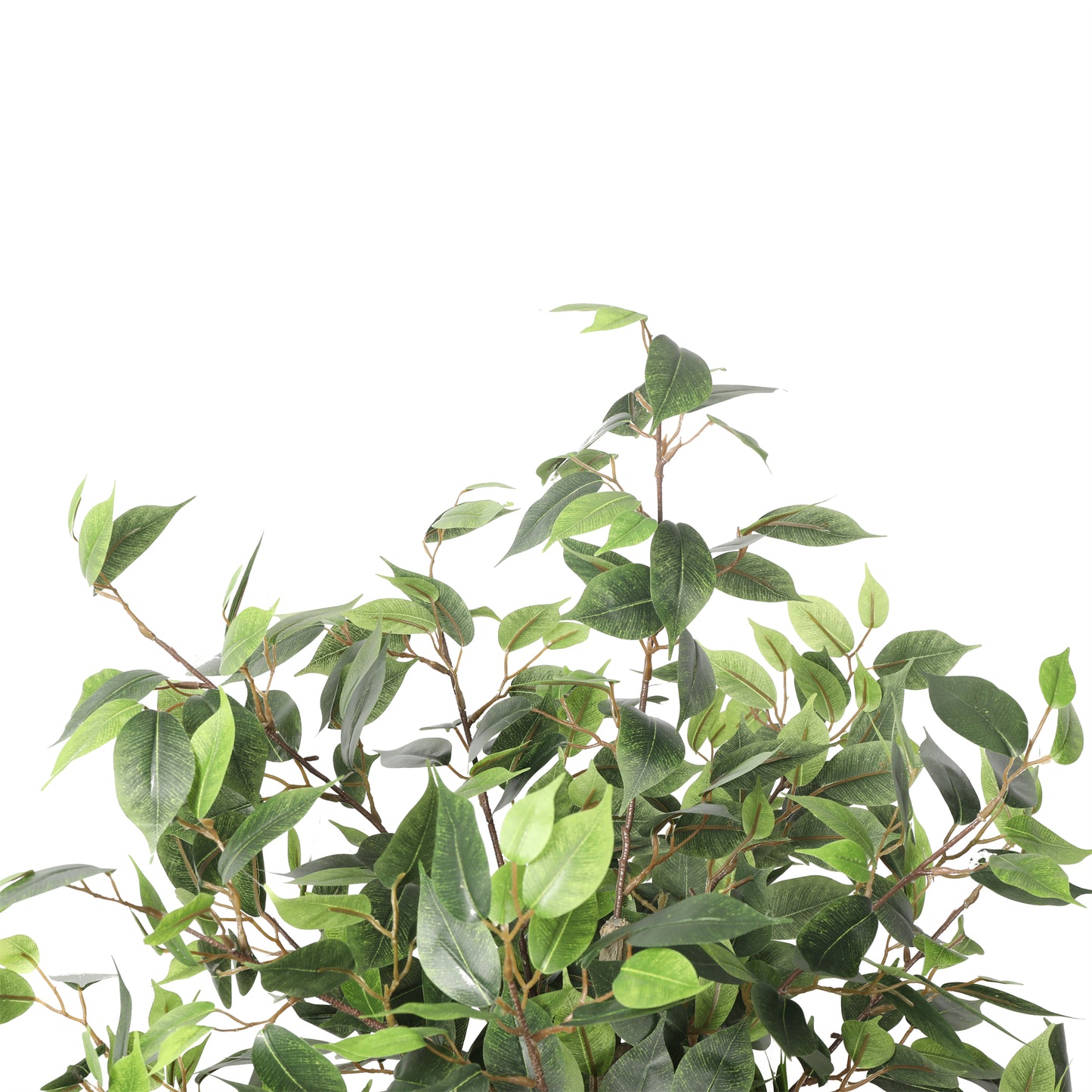 Artificial UV Premium Ficus Tree, 160cm