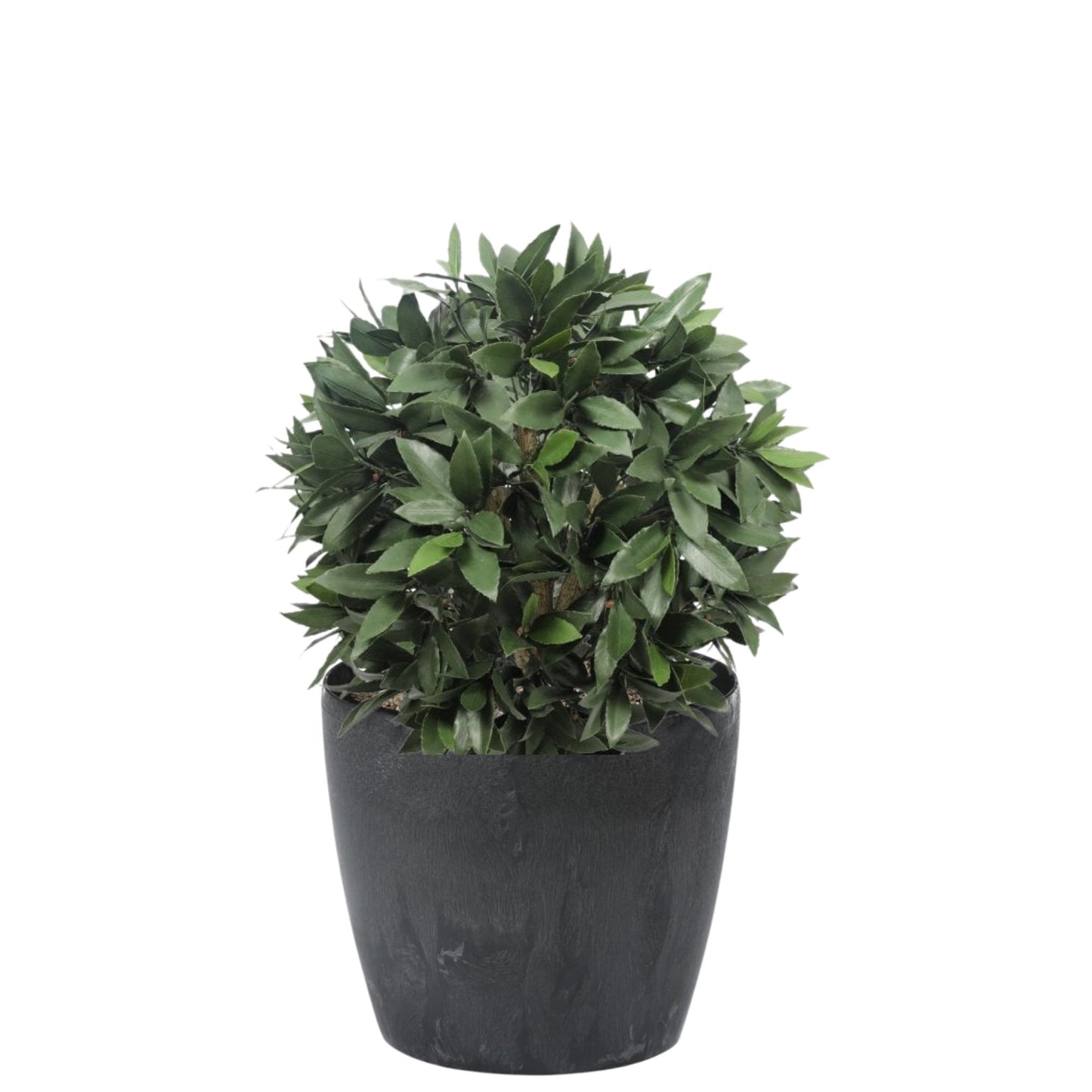 Artificial Bay Laurel Ball, 55cm