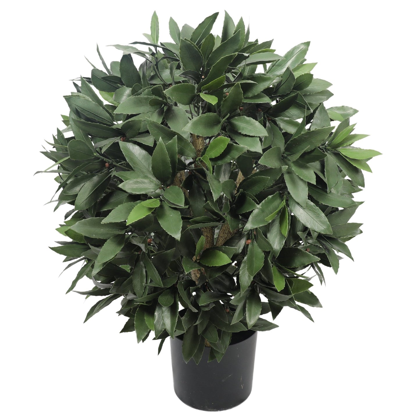 Artificial Bay Laurel Ball, 55cm