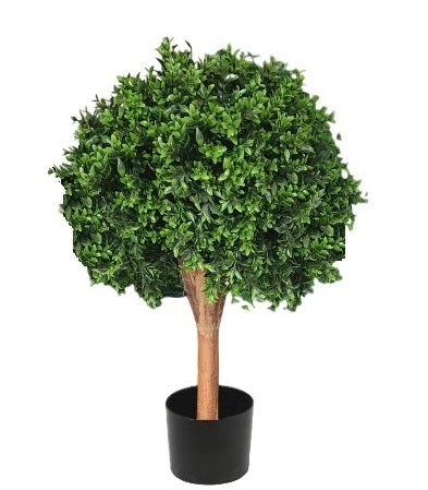 Deluxe Buxus Ball Topiary Tree, 75cm