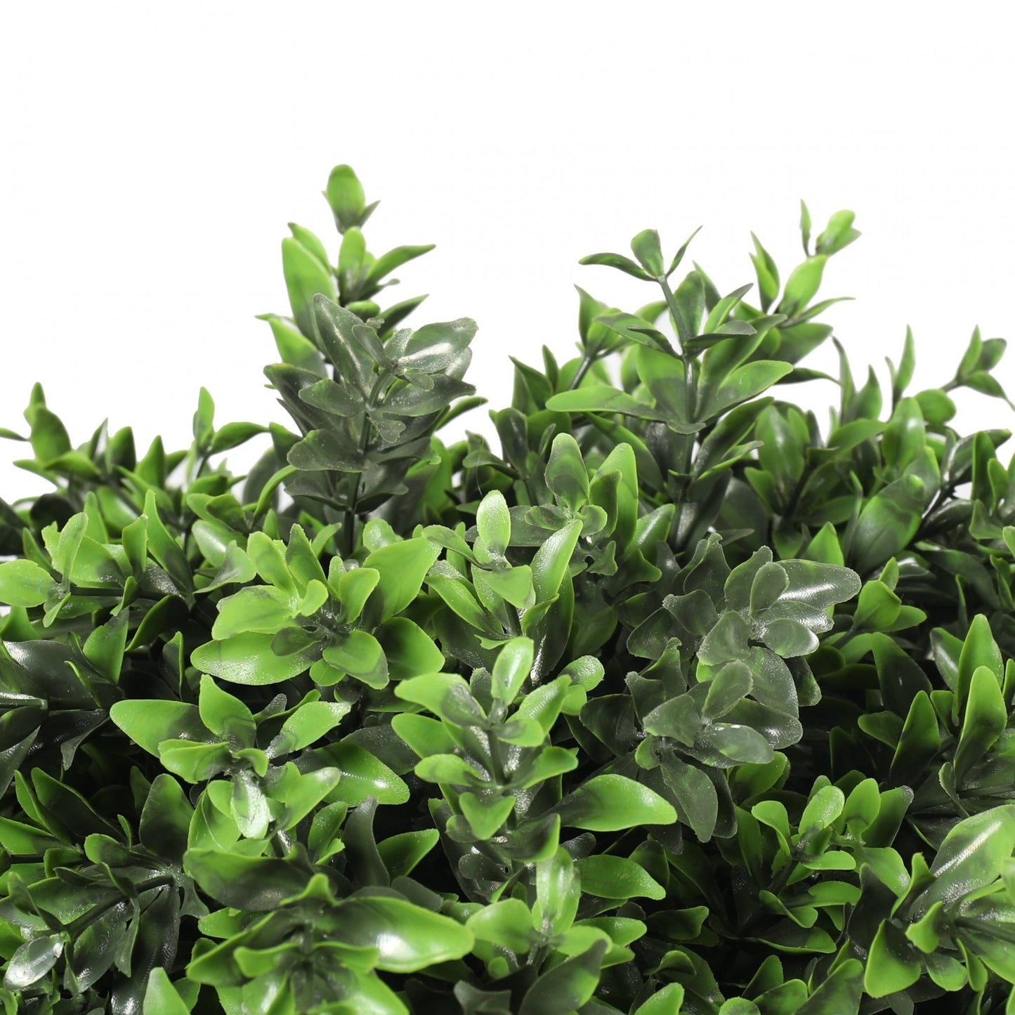 Deluxe Buxus Ball Topiary Tree, 65cm