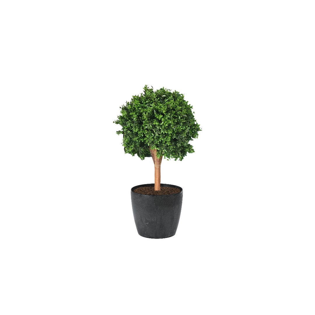 Deluxe Buxus Ball Topiary Tree, 75cm