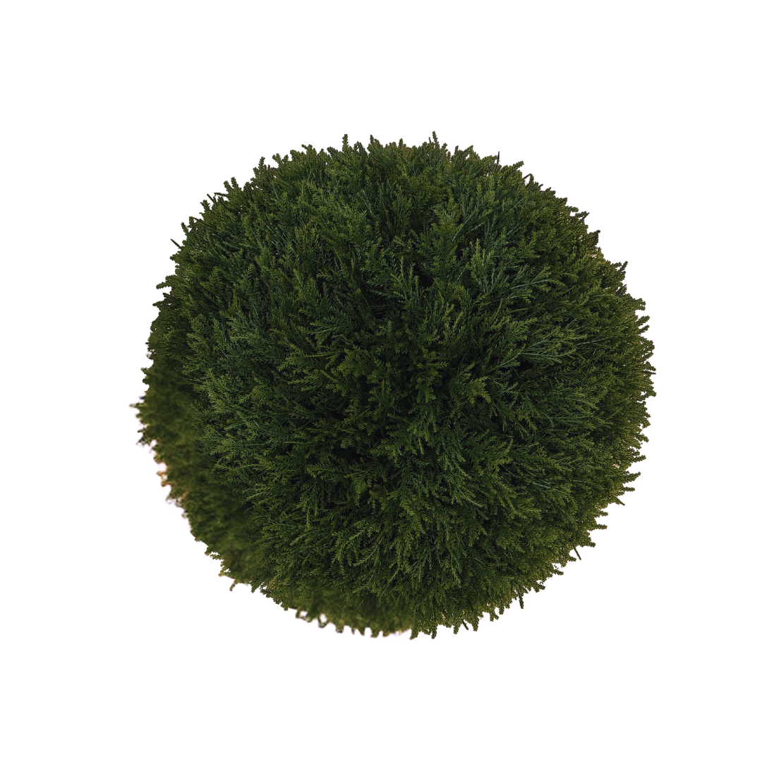 Artificial Cypress Ball, 35cm