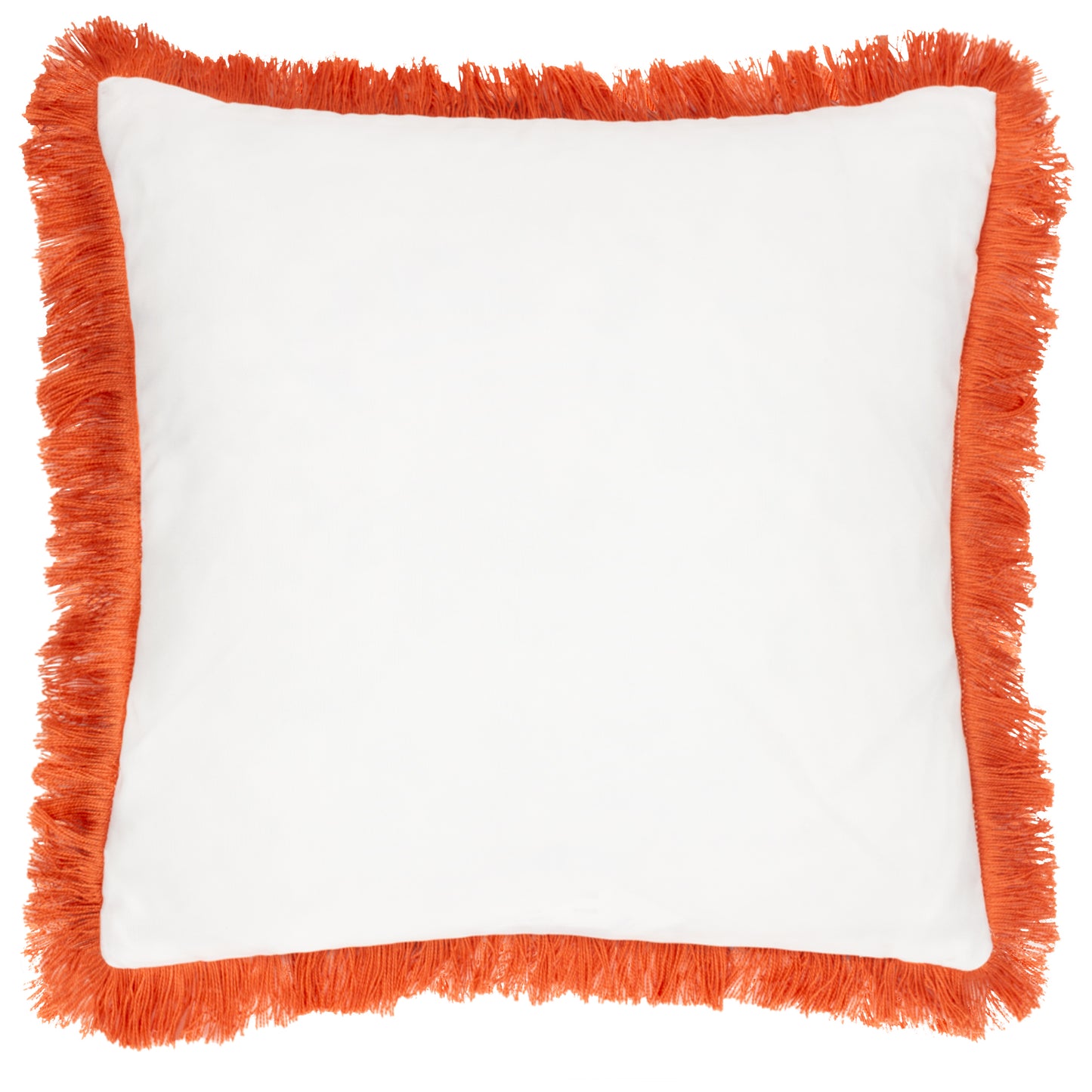 Kadie Orange Outdoor/Indoor Woven Cushion & Cover